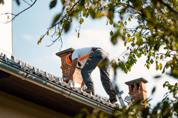 Roof Gutter Cleaning in Gresham, OR